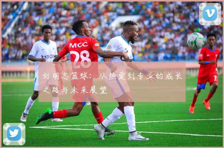 刘明志篮球：从热爱到专业的成长之路与未来展望