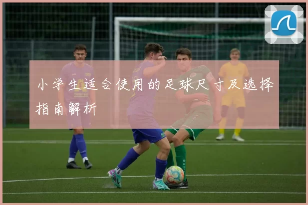 小学生适合使用的足球尺寸及选择指南解析