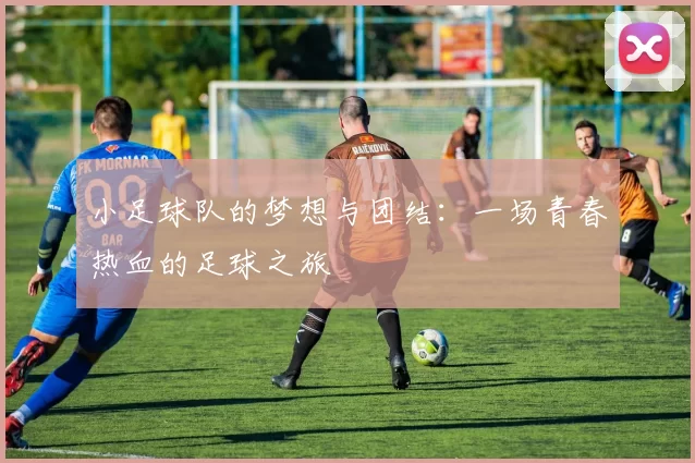 小足球队的梦想与团结：一场青春热血的足球之旅