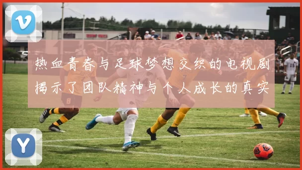 热血青春与足球梦想交织的电视剧揭示了团队精神与个人成长的真实故事
