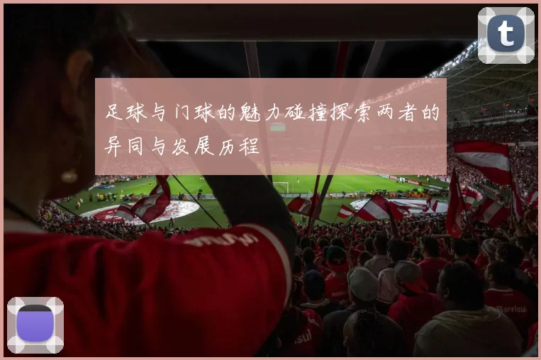 足球与门球的魅力碰撞探索两者的异同与发展历程