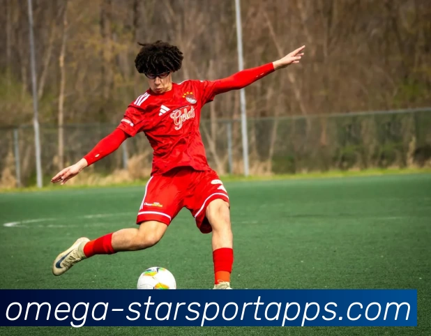 星空体育APP 封面图